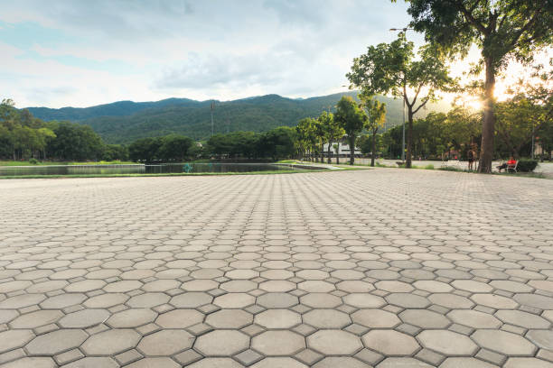 Professional Driveway Pavers in Elm City, NC